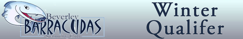 Sprints banner logo