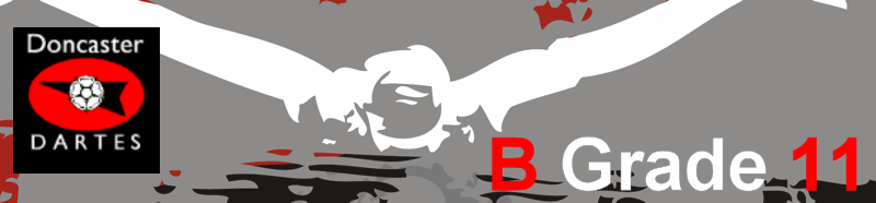 swimalong banner logo
