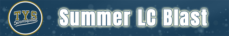 Sprints banner logo