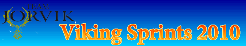 viking banner logo