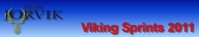 Jorvik banner logo