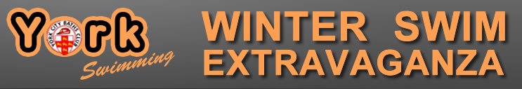 Sprints banner logo