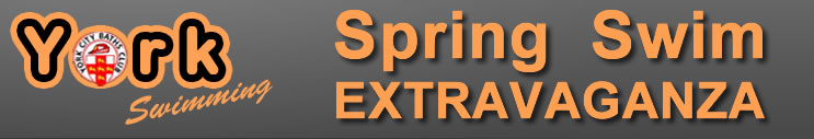 Sprints banner logo